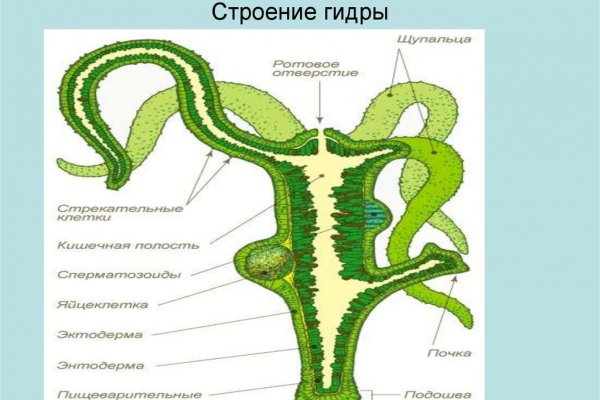 Рабочий тор мега